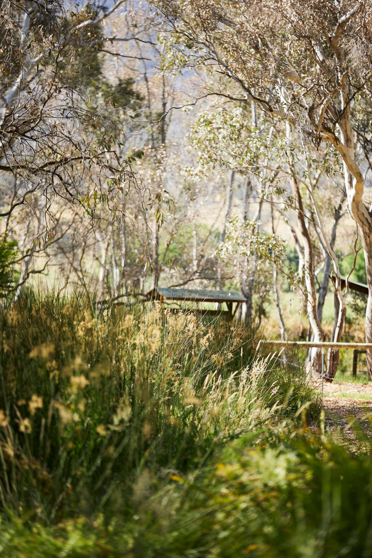 Lodge Lodge Tallarook Arboretum Info